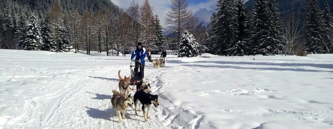 Dog Sleigh Rides & Snowshoe Hike