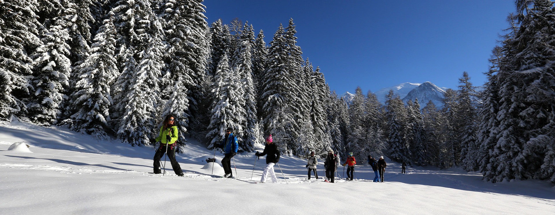 Snowshoe Hike